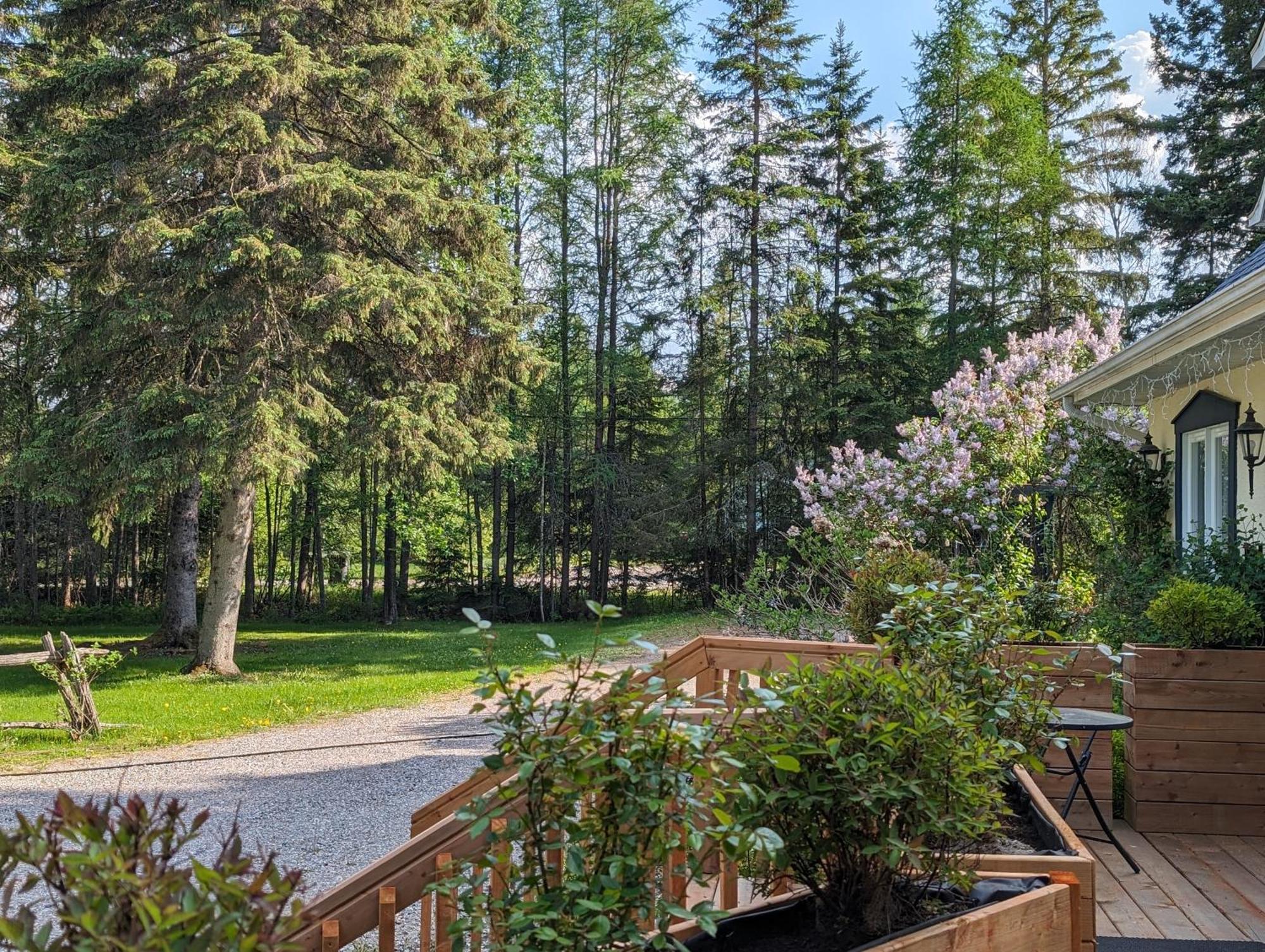 Bed and Breakfast La Tremblante à Mont-Tremblant Extérieur photo