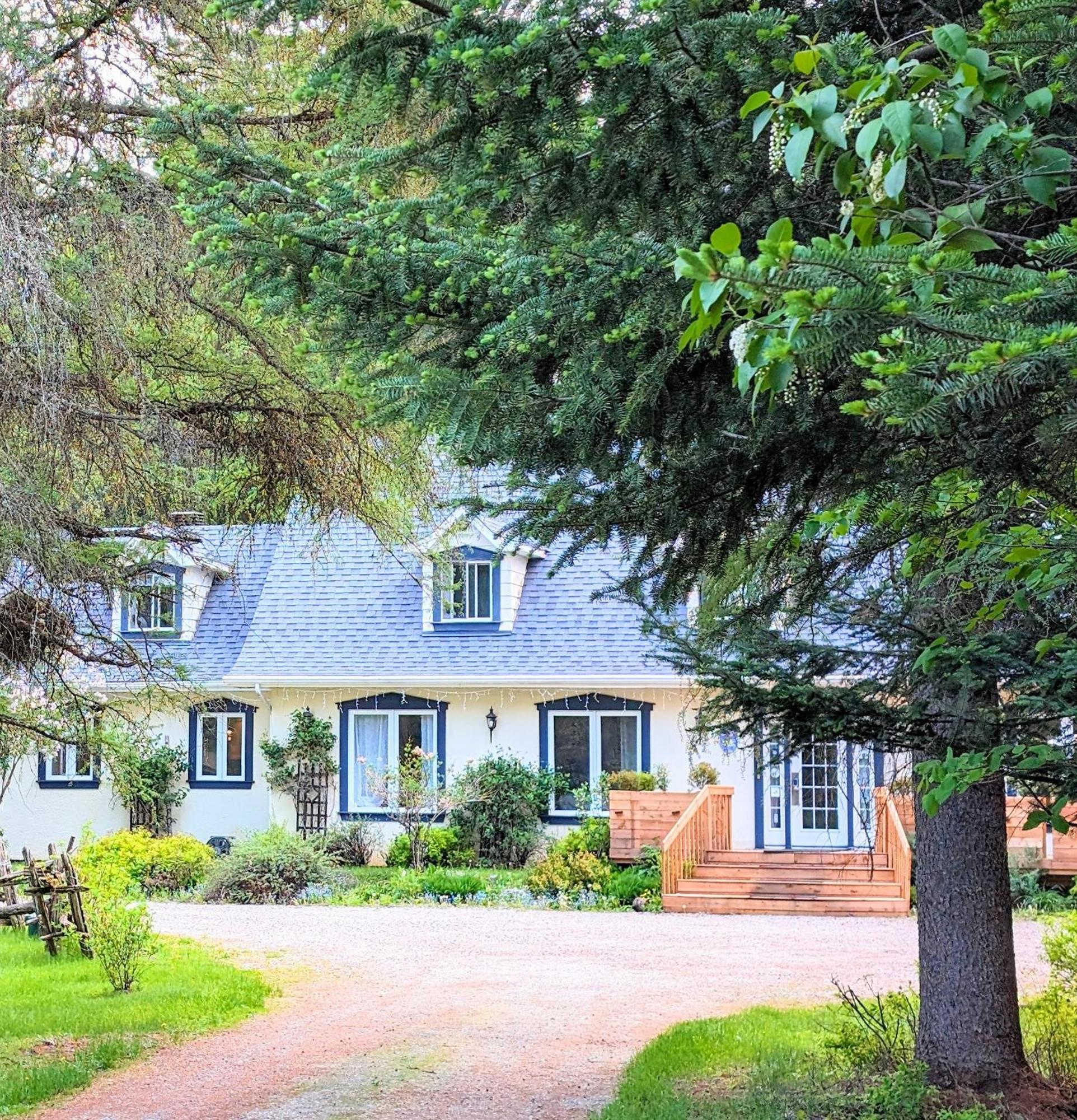 Bed and Breakfast La Tremblante à Mont-Tremblant Extérieur photo