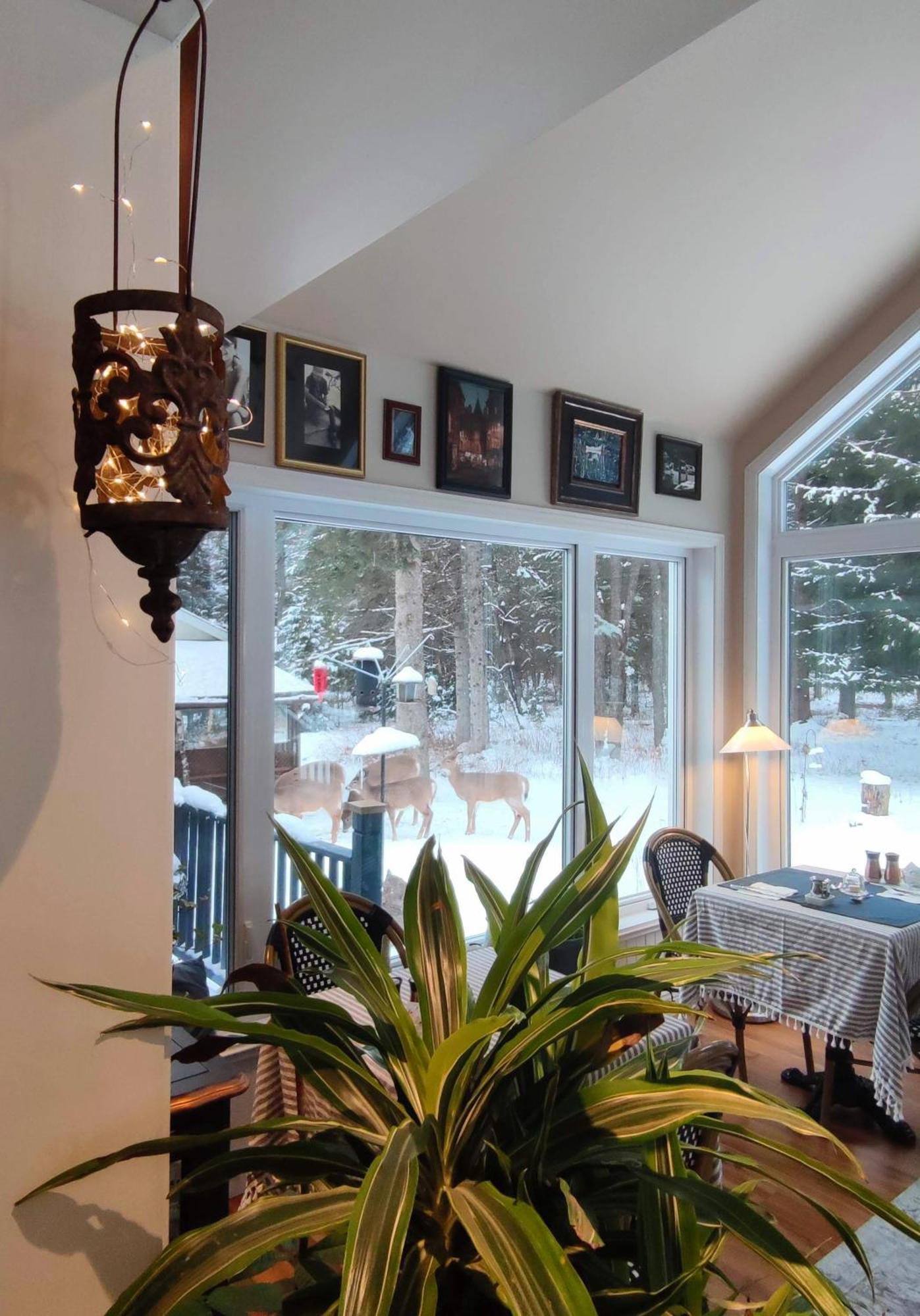 Bed and Breakfast La Tremblante à Mont-Tremblant Extérieur photo